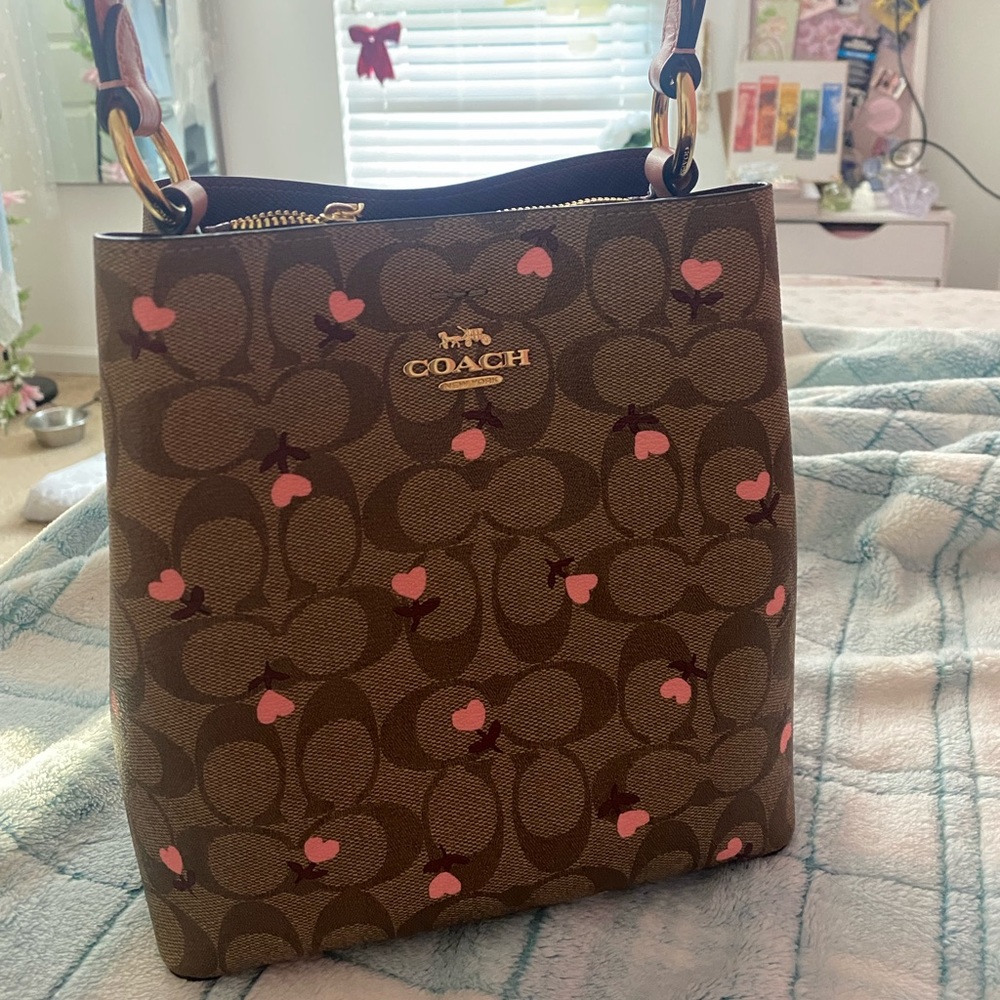Coach Valentines Day bag
